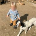 Majka malog Leona (2) kojeg je pitbul izujedao na smrt otkrila svoje sumnje: "Prvo su se čuli pucnji..."