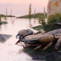 Џиновска шкорпија са клештима дугим 16 центиметара владала је копном и водама пре 415 милиона година