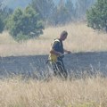 Požar kod Ušća lokalizovan, borba sa vatrom se nastavlja na Stolovima: Zahvaćeno oko 200 hektara