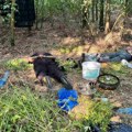 (Foto) Zaplenjeno oko 30 kilograma marihuane u Grockoj, uhapšene dve osobe