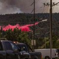 Proglašeno stanje velike katastrofe: Besne šumski požari na jugu novog Meksika: Bajden hitno reagovao