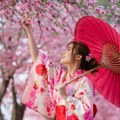 Šta znači biti bogat u Japanu