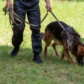 U toku je potraga za razbojnikom Maloletnik maskiran uz pretnju pištoljem izvršio razbojništvo