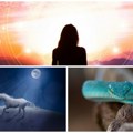 Tri znaka čeka blagostanje! Kineski horoskop otkriva kome se smeši neverovatna sreća... a njih čeka poslovni uspeh