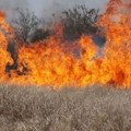 Vatra ponovo buknula kod Novog Sada: Izbegnuta velika katastrofa u Futogu i Kovilju