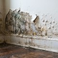 Ево како да поправите ољуштену боју, мехуриће и надувен зид: Ово је трајно решење