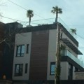 (Foto) palme i ležaljke na terasi, vila cela u staklu: Ovo je luksuzna kuća Ane Sević na Bežanijskoj kosi, velika zvezda…