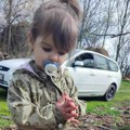 Pokrenut sistem "Pronađi me" zbog nestanka dvogodišnje devojčice kod Bora