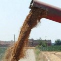 "To je maksimum u ovom trenutku": Ministarstvo poljoprivrede sa udruženjima o situaciji na tržištu žitarica