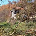Miša u strahu nakon što je obišao imanje: Zver se vratila noću, užas na 500 metara od kuće, opasnost sve veća