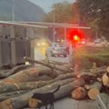 "Vozač izgubio kontrolu, trupci su bukvalno smrskali vozila" Očevidac opisao strašne scene kod Ivanjice: Drva se sručila na…