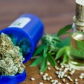U BIH usvojena odluka o legalizaciji kanabisa u medicinske svrhe