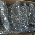 Dačić: Zaplena 100 kg marihuane, uhapšen jedan osumnjičeni