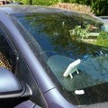 Ovaj predmet svi nosimo sa sobom tokom leta, a najviše oštećuje farbu na automobilu