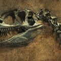 Nova vrsta dinosaurusa s oklopljenim telom otkrivena u Velikoj Britaniji