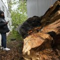 U olujama na istoku SAD dve osobe poginule, više od 1,1 milion domaćinstava ostalo bez struje