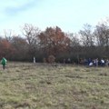 Šumsko gazdinstvo Kragujevac organizovaće pošumljavanje na 10.000 hektara