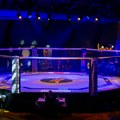 Srpski MMA borac ubijen u Kanadi!
