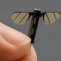 Čiji je manji: Dron veličine komarca