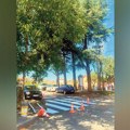 Saobraćajna signalizacija za bezbednost đaka