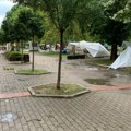 (Foto) Oluja oborila drvo, slomljene krošnje iskidale kablove! Stravično nevreme se sručilo na Apatin