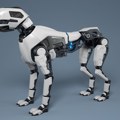 Robotski patrolni psi stižu na tajvanska ostrva