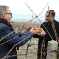 Visoko odlikovanje iz Italije za Svetozara Janevskog na praznik vinogradara i vinara, Svetog Trifuna