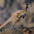 Najmanji među najvećima: Novo otkriće iz sveta dinosaurusa