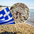 Upozorenje Srpkinje: U plićaku poznatog grčkog letovališta uočila opasne ribe, ako ih nagazite sledi pakao!