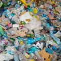 Naučnici napravili jestive kolačiće od plastičnih flaša