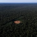 Surinamski domoroci pokrenuli projekat za spas prašume