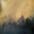 Požar u Lipkovu u Severnoj Makedoniji: Vatra izmiče kontroli, za sada nema opasnosti za naseljena mesta