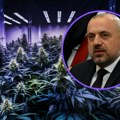 Kosovska policija: Milan Radoičić povezan sa uzgajivačima marihuane na severu Kosova