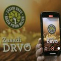 Milion sadnica Za zeleniju Srbiju: Završena šesta sezona projekta „Zasadi Drvo“ a izložba će biti postavljena u…