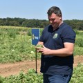 Lidl ove sezone otkupio oko 5.000 tona lubenice iz Srbije