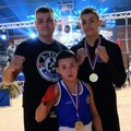 Zlatne medalje za Mihajla i Vuka Jovanovića na bokserskoj reviji u Krupnju