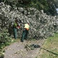 Novi Sad otvara račun za donacije nakon oluje i oštećenja zelenila