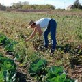 Osećaj da smo jedno sa prirodom Evo gde se kako se živi bez pesticida zdrava hrana s kolena na koleno