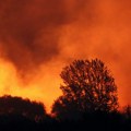 Veliki požar kod Ivanjice: Izgorelo više od 50 hektara četinarske šume