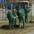 31 LIPA ULEPŠALA JE BULEVAR JOVANA DUČIĆA U SRPSKOJ ATINI! Očekuje se da će uskoro broj posađenih stabala u okviru akcije…