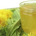 Maslačak gazimo po parkovima, a ne znamo da je lekovit: Imamo recept za domaći sok