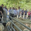 SRCE: Srbija nije iskoristila sredstva iz programa IPARD 1, iz IPARD 2 neiskorišćeno 76 miliona evra