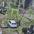 Niš moj grad: Pad grane na sugrađanku upozorenje da je održavanje zelenila i bezbednosno pitanje
