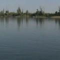 Oaza na Dunavu nadomak Novog Sada - Čerević nudi jedinstven odmor od gradske vreve
