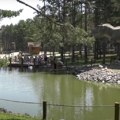 „Dino park Zlatibor“ spreman za letnju sezonu (video)