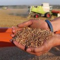 Ukrajina počela da izvozi žito preko hrvatskih luka