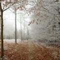 U Srbiji sutra hladnije, mestimično kiša, na višim planinama sneg
