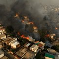 Више од 60 погинулих у шумским пожарима у Чилеу, број мртвих ће расти