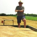 "Ovo se ne pamti, juče sa žeo ječam, danas pšenica": Kombajni izašli na njive u Mačvi tri nedelje ranije