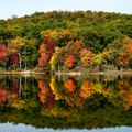 Horoskop za 1. oktobar: Ljubomorne scene pred Bikom, Rak mora da savlada nervozu, Jarcu preko potreban odmor